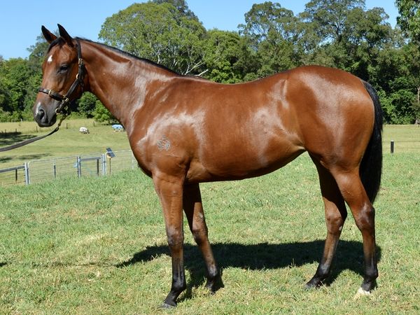 Captivant x Soosa Roma