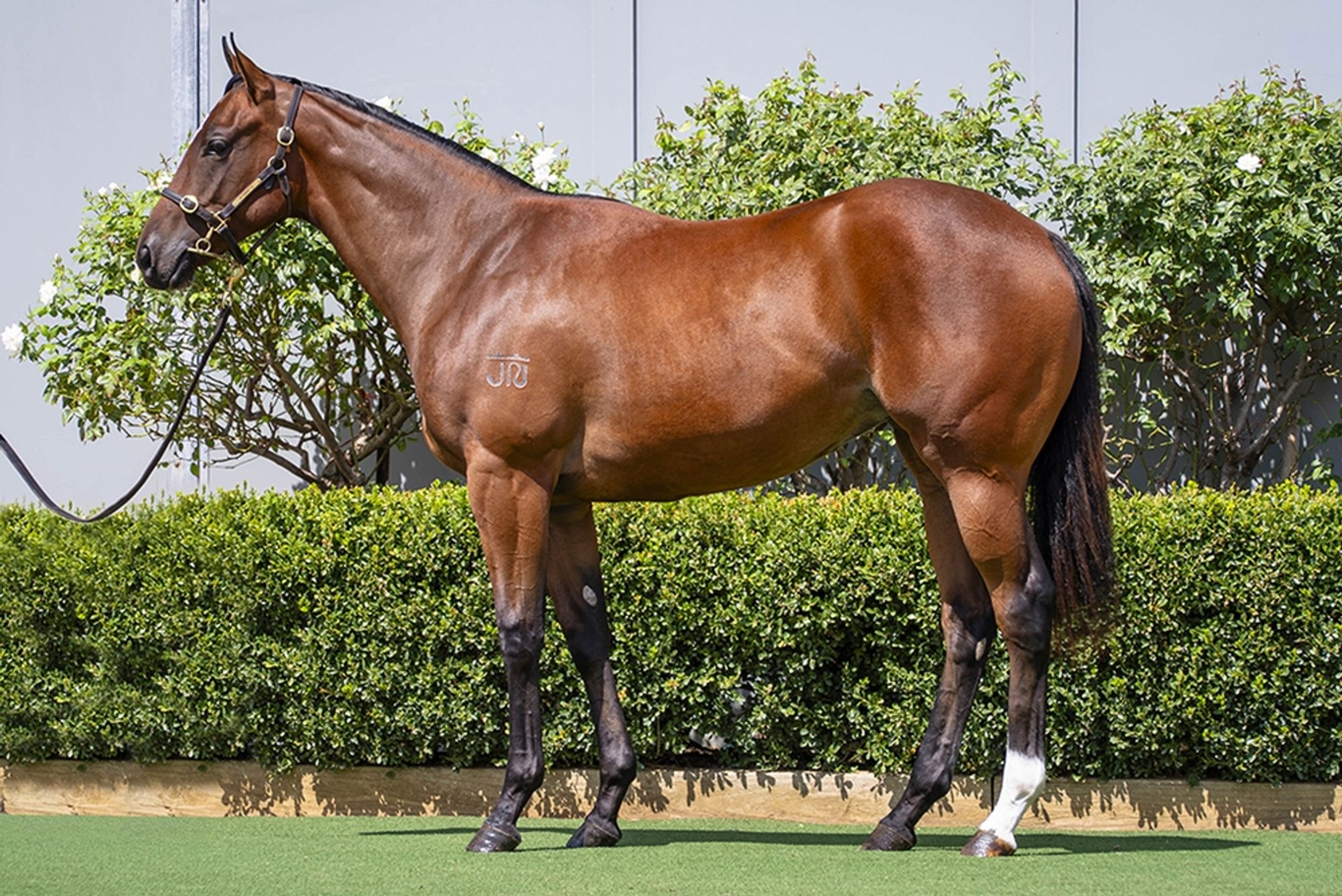 Best of Bordeaux x Snow White image 1