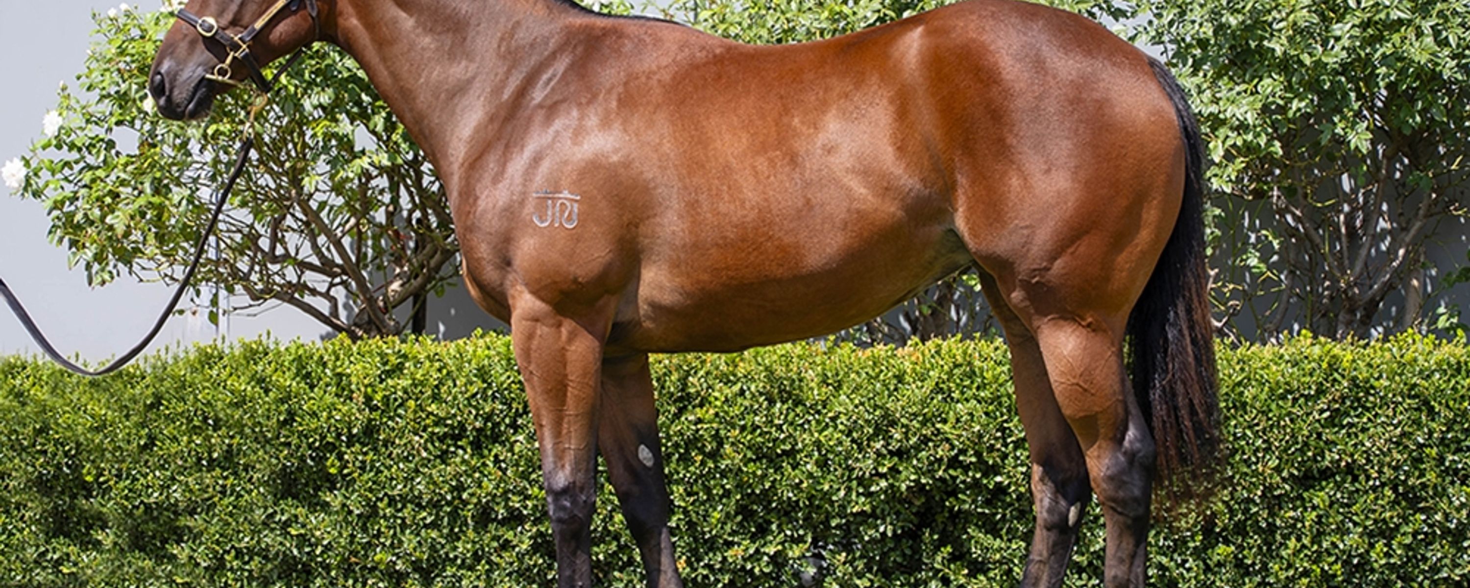 Best of Bordeaux x Snow White