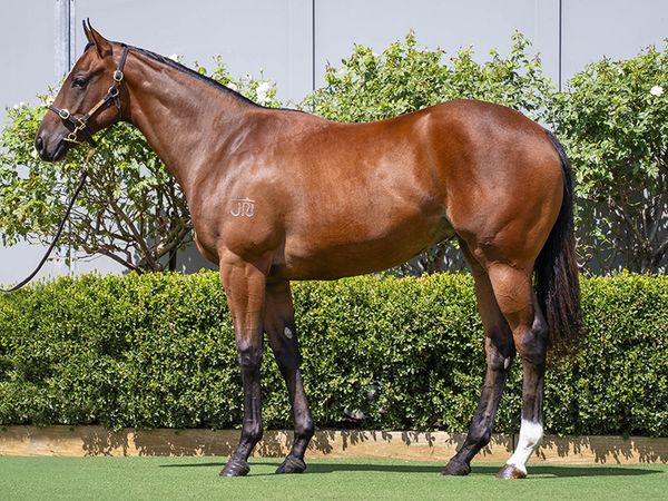 Best of Bordeaux x Snow White