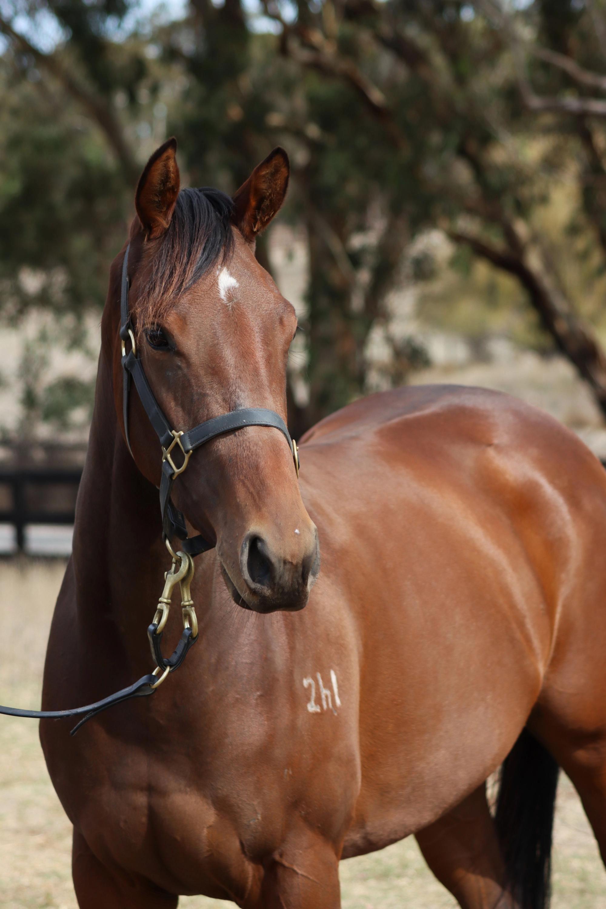 Brand Her Bold  image 2