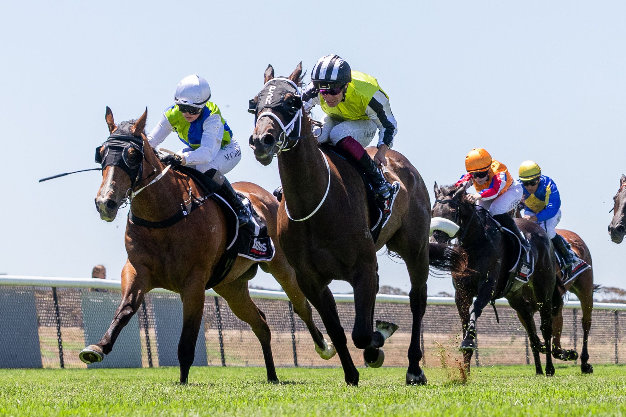 Cheap Buy, Big Reward! Bargain Boy Wins on NYD