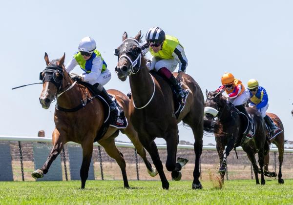 Cheap Buy, Big Reward! Bargain Boy Wins on NYD