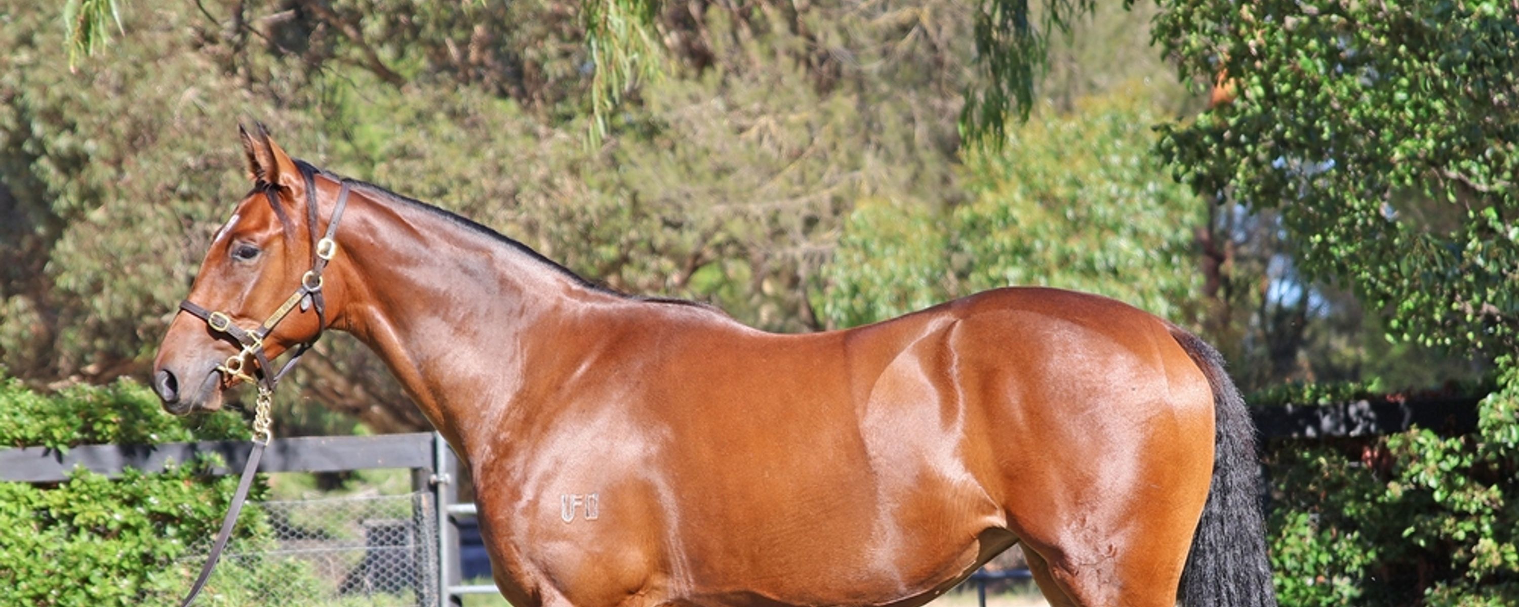 Pride of Dubai x Racy Rosie