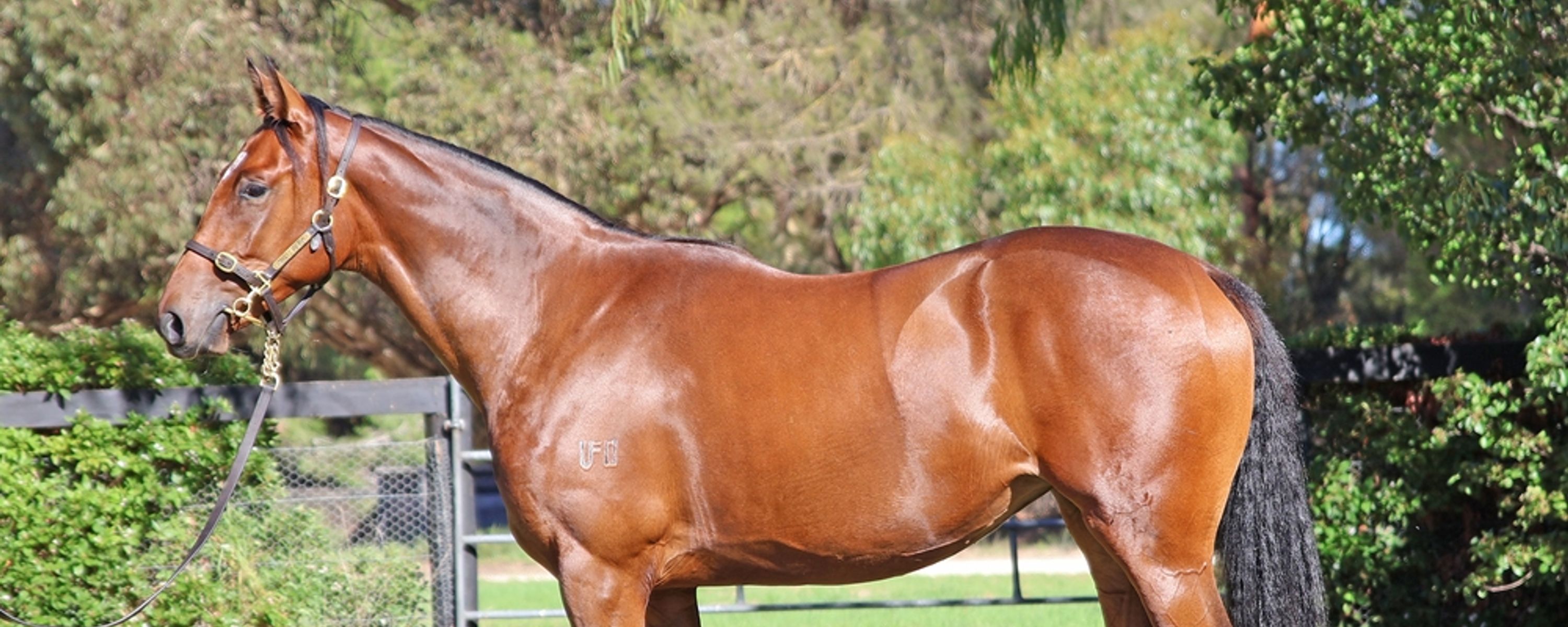 Pride of Dubai x Racy Rosie