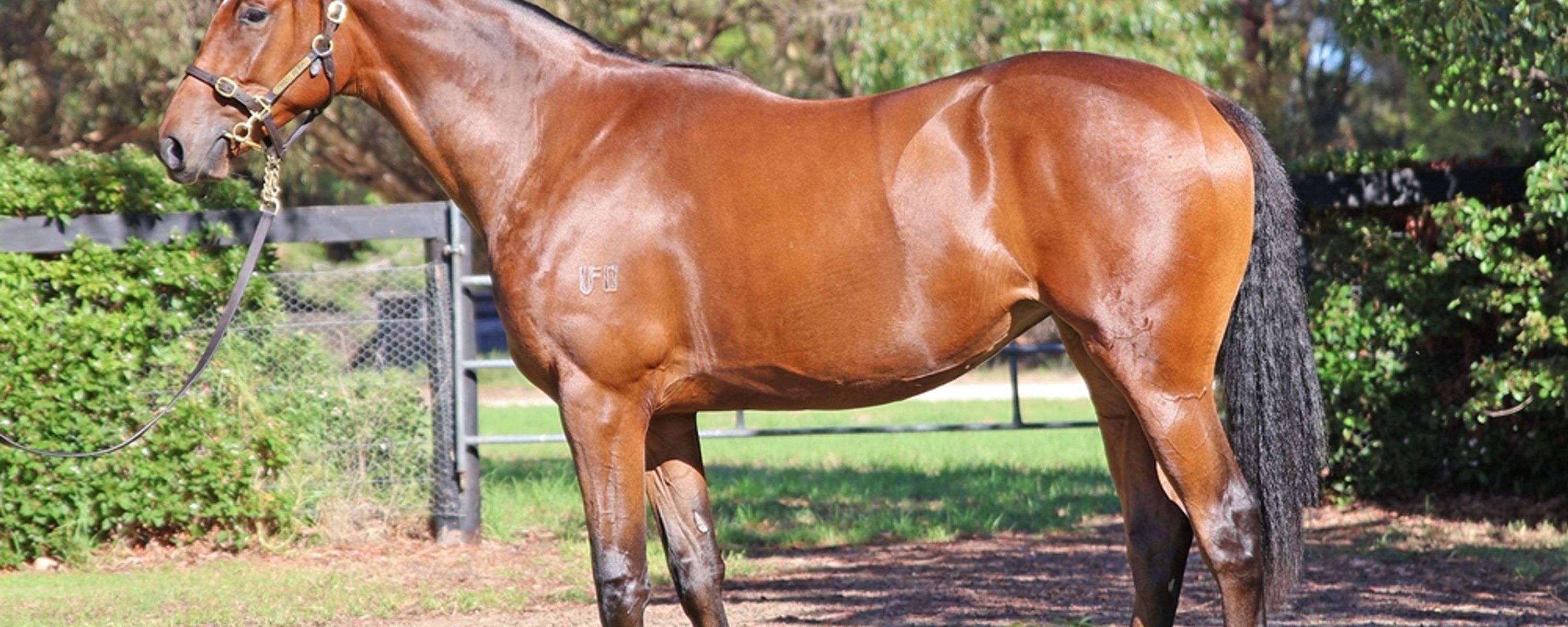 Pride of Dubai x Racy Rosie