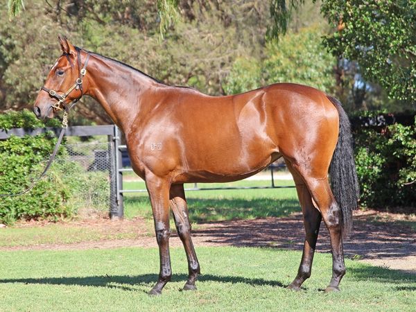 Pride of Dubai x Racy Rosie