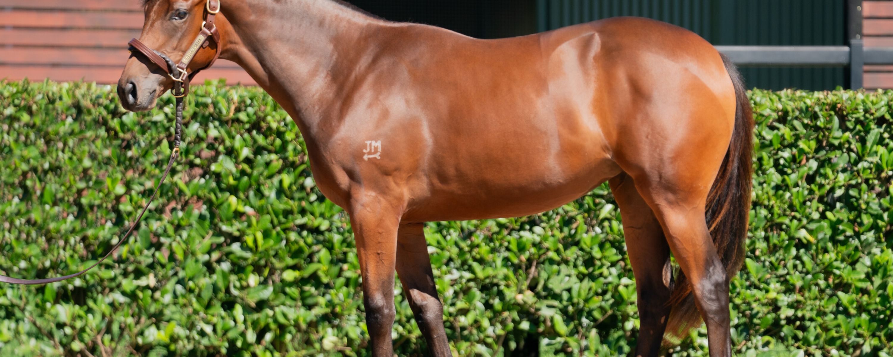 Too Darn Hot x Beret