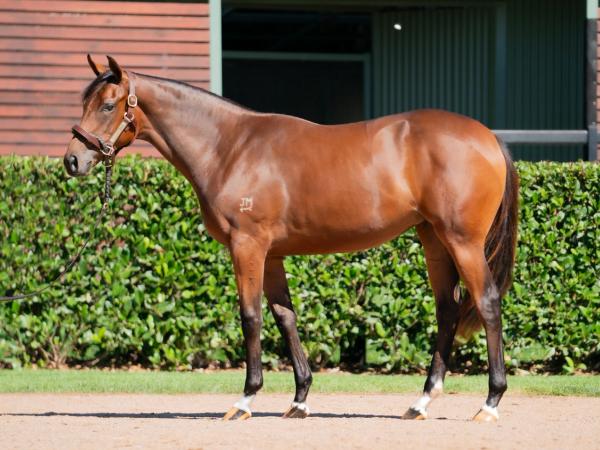 Too Darn Hot x Beret