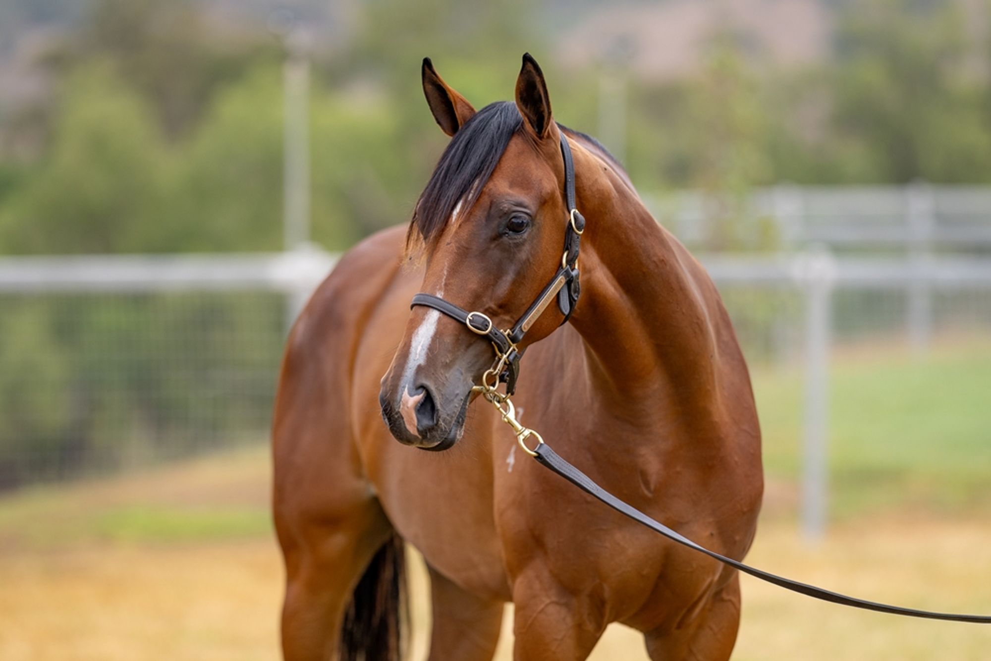 Written By x Press To Collect image 2