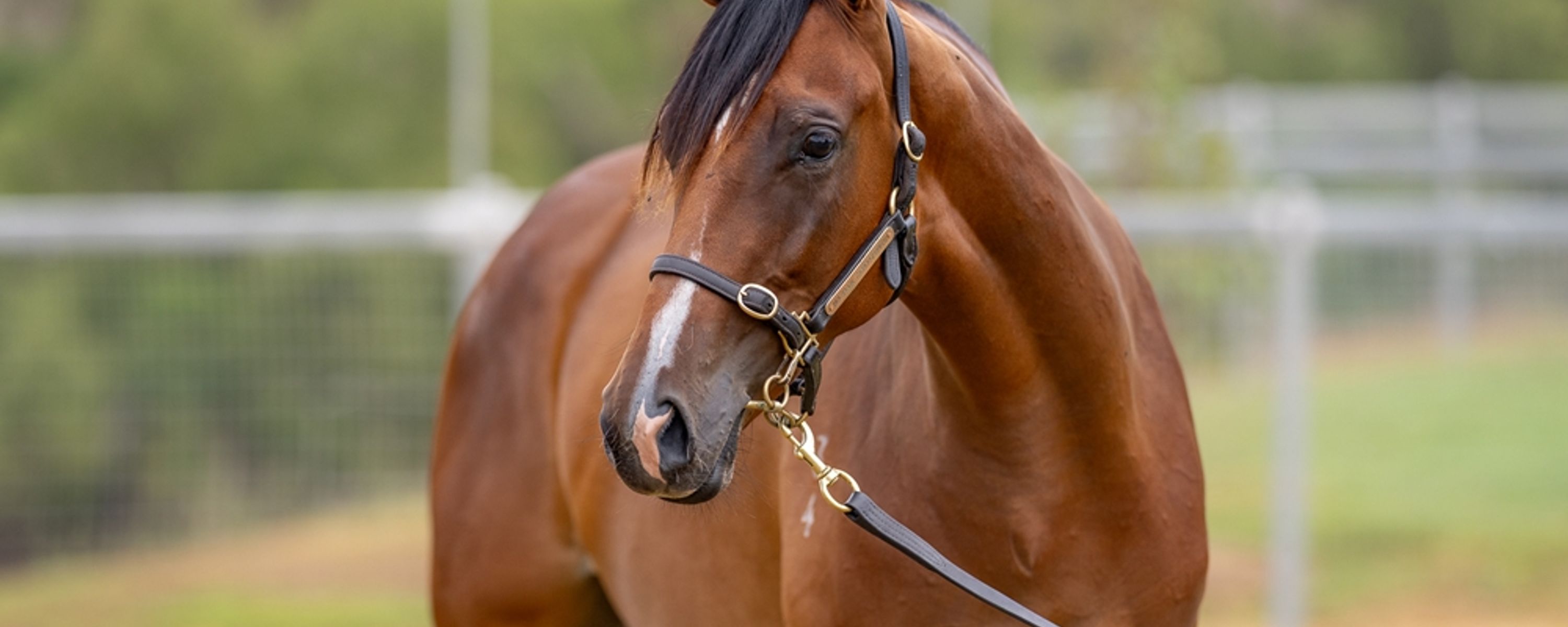 Written By x Press To Collect