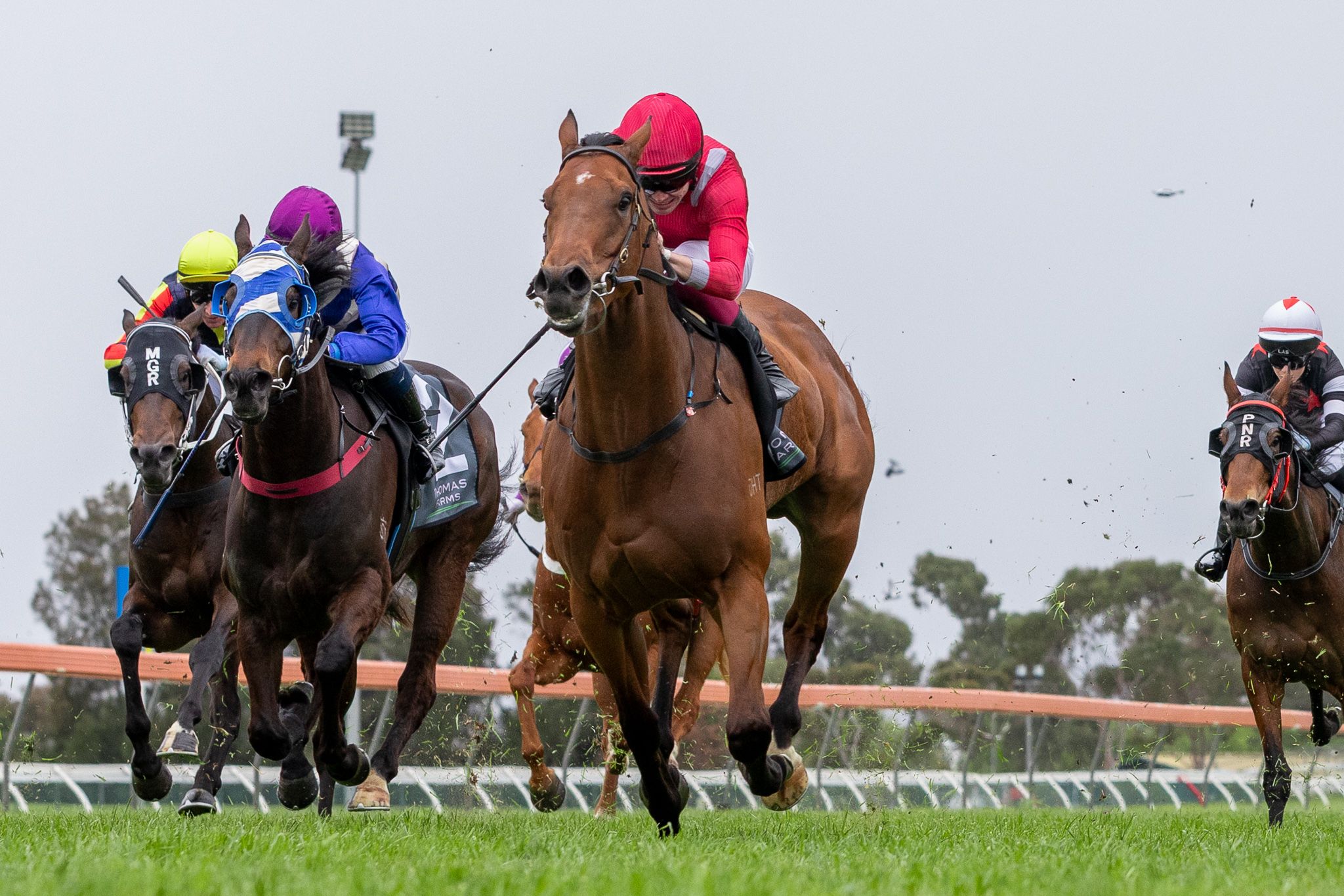 Owners Reap Rewards as The Cosmic One Breaks Maiden