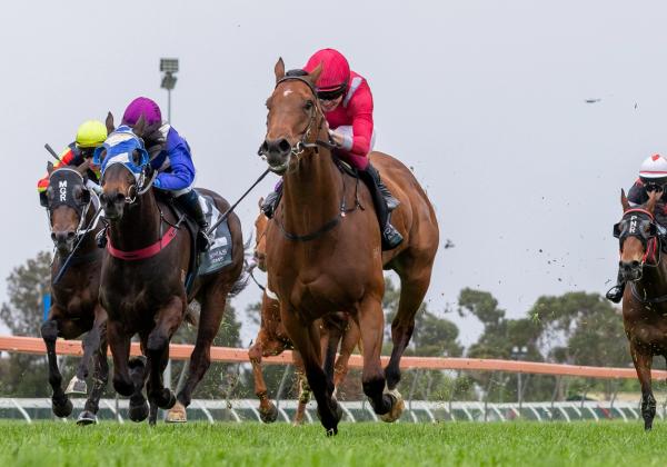 Owners Reap Rewards as The Cosmic One Breaks Maiden