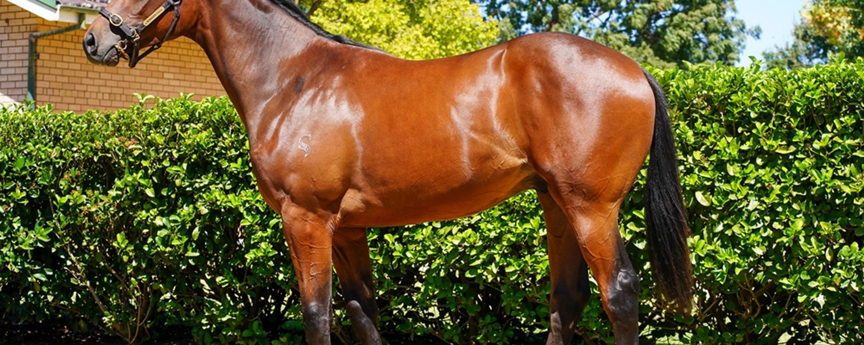 Fierce Impact x Celebrity Appeal