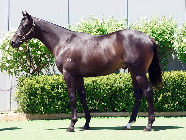 Yes Yes Yes x Flirtare