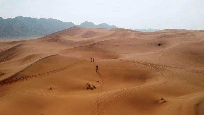Captura de pantalla 2026-01-30 a las 13