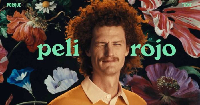 Captura-de-pantalla-2024-10-14-a-las-13.51.09