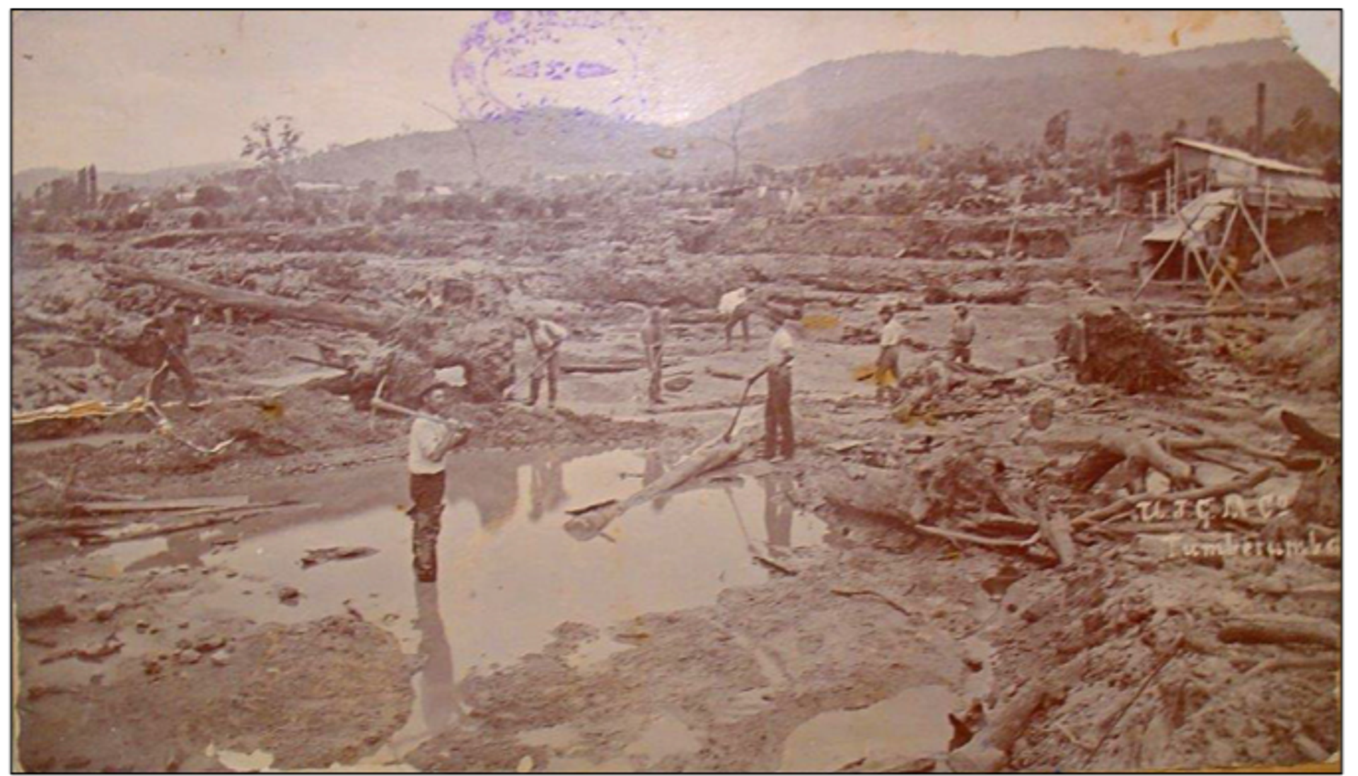 Sluicing operations of the Union Jack Gold Mining Company at Tumbarumba Creek