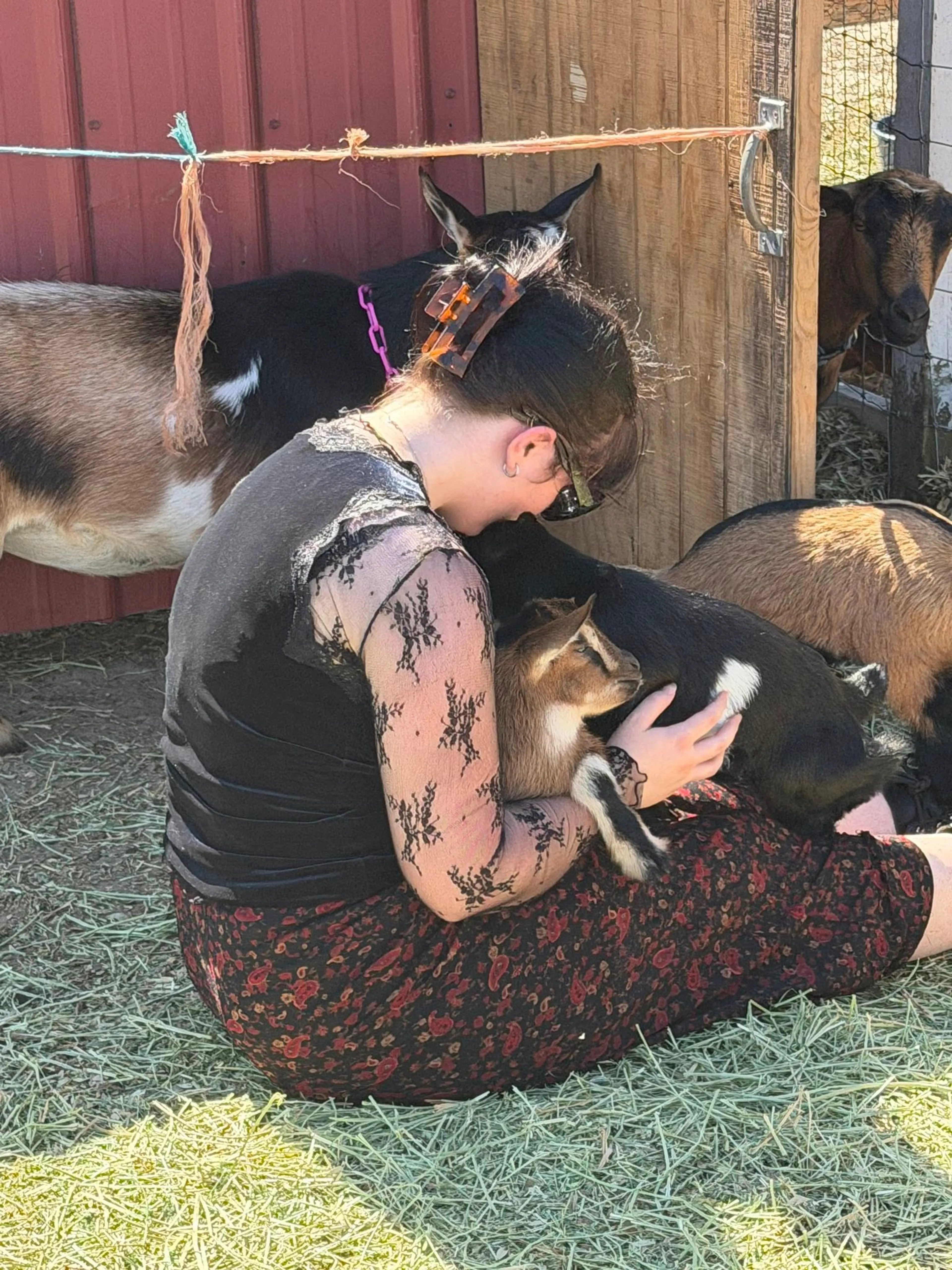 Farmstead Festival photo 8