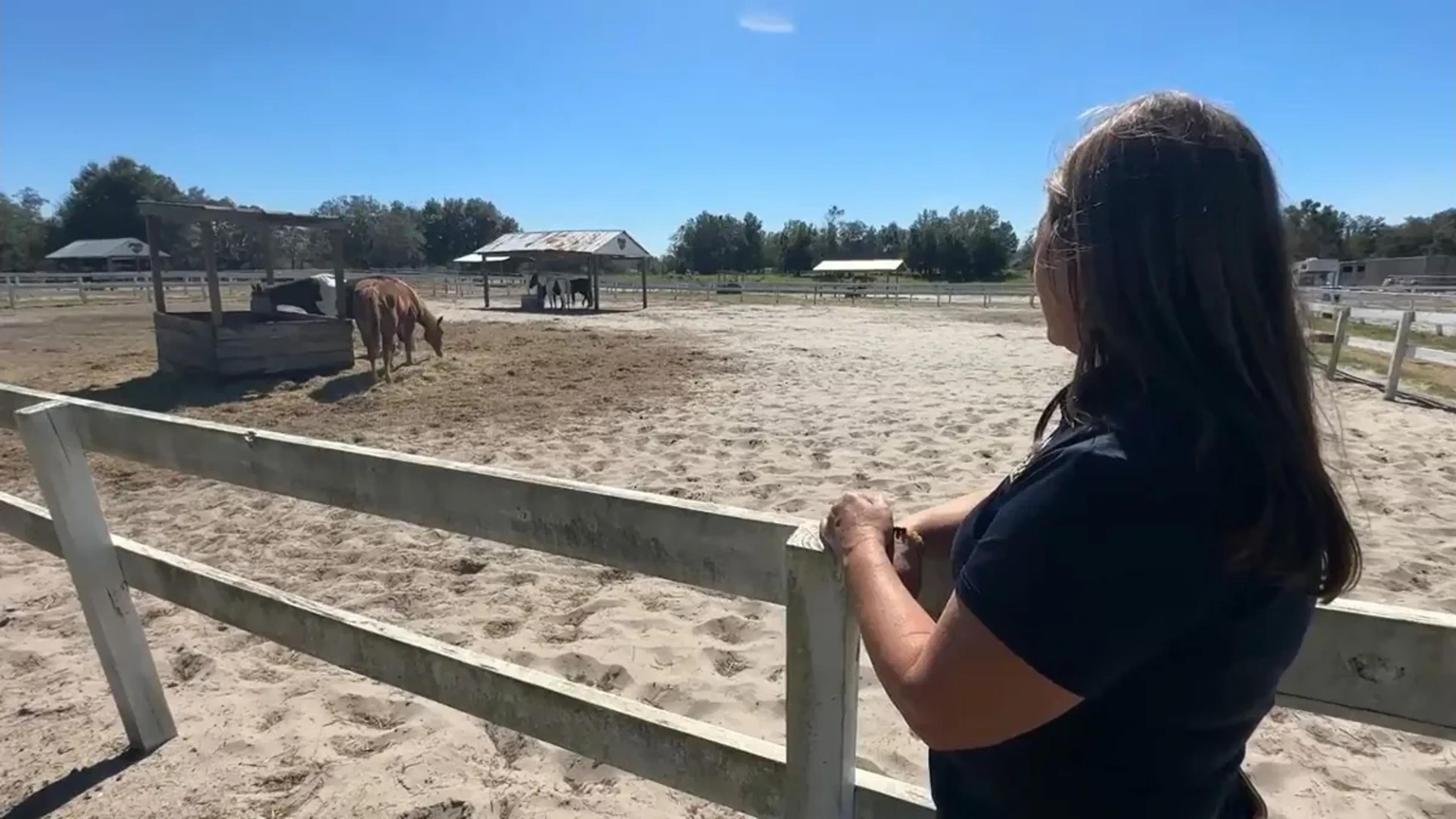 Kiddy Up Ranch founder Tammy Sliger at the paddock fence, from the Spectrum Bay News 9 story