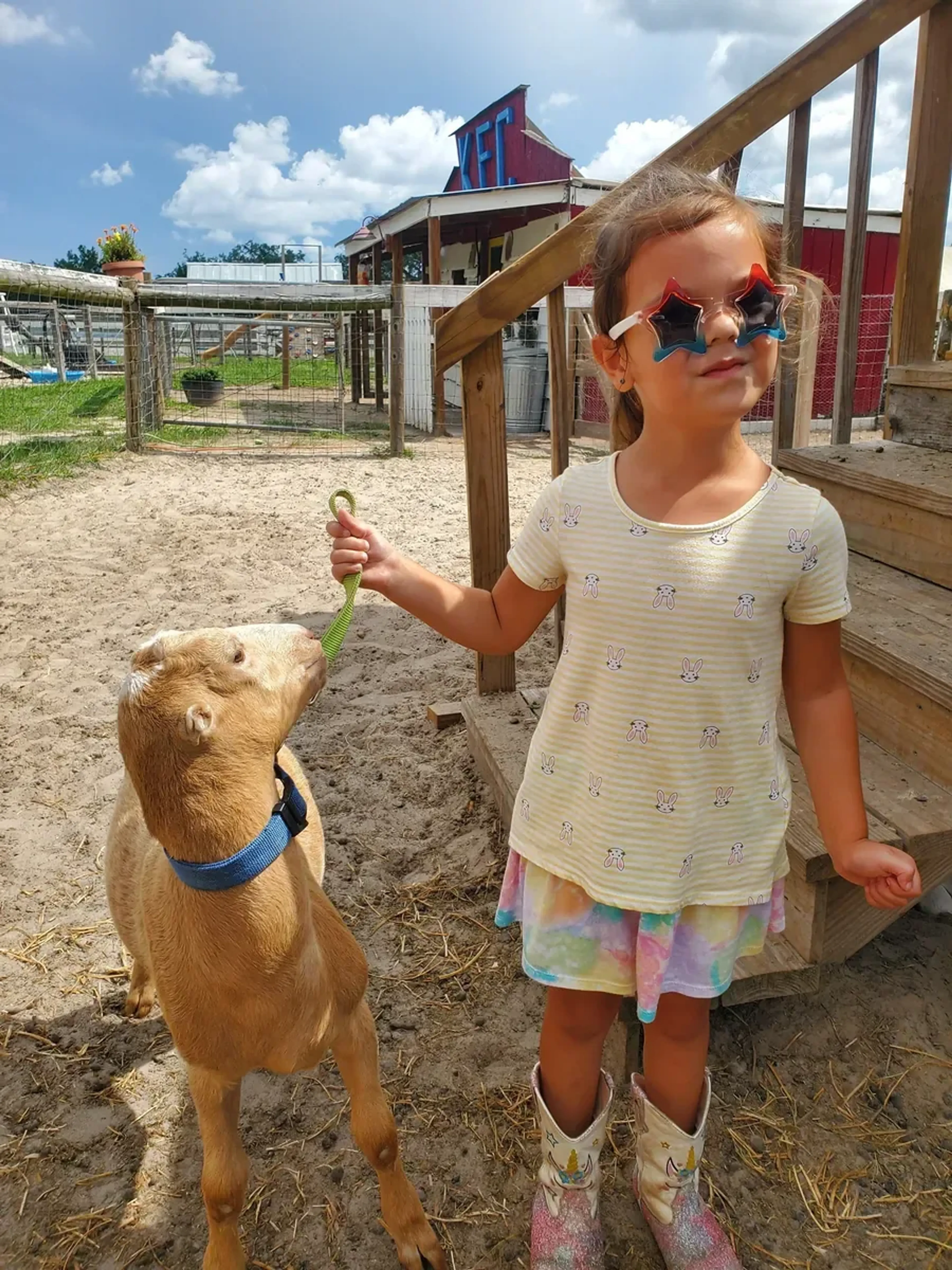 Little girl in sunglasses feeding a tan goat by the barn