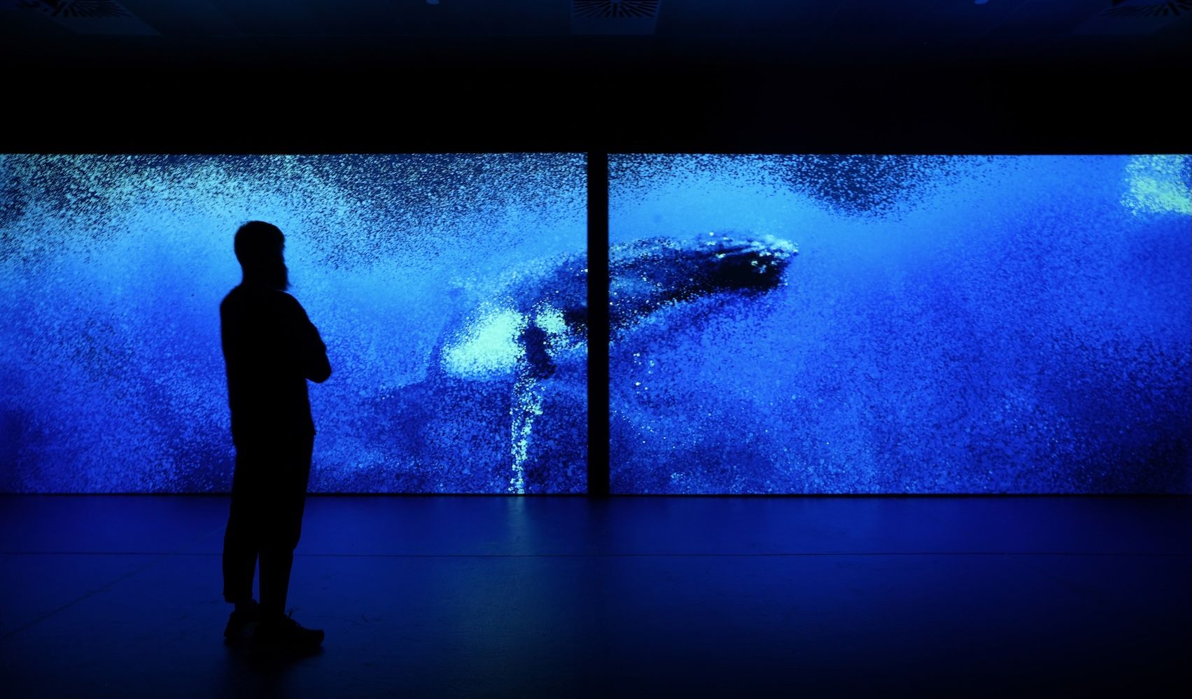 A man in the foreground looking at the artwork with a whale and blue backdrop