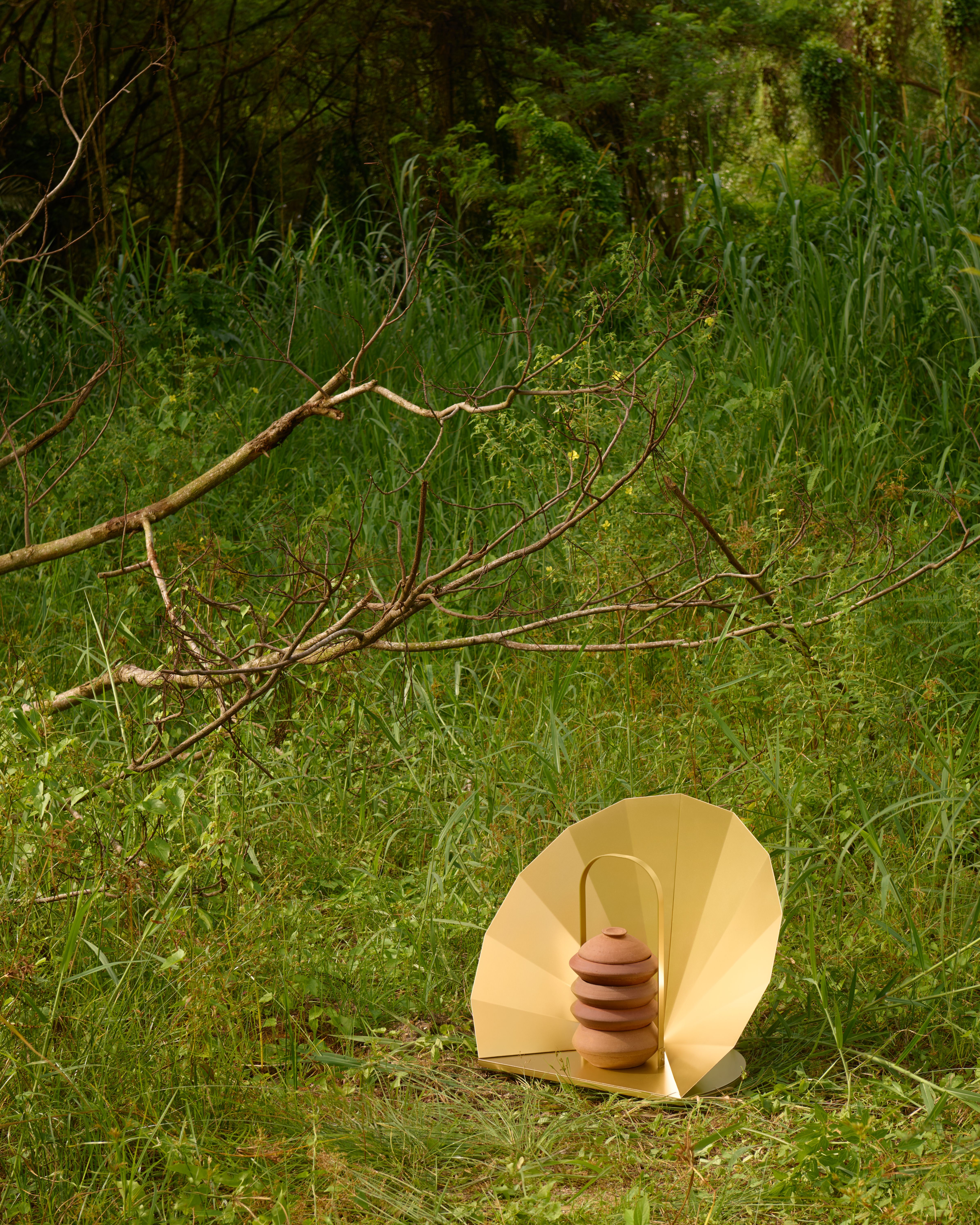 Grass backdrop with gold lighting in foreground 