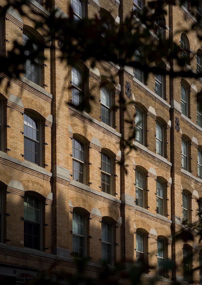 The front of a New York block of brown brick and shadow of tree in foreground