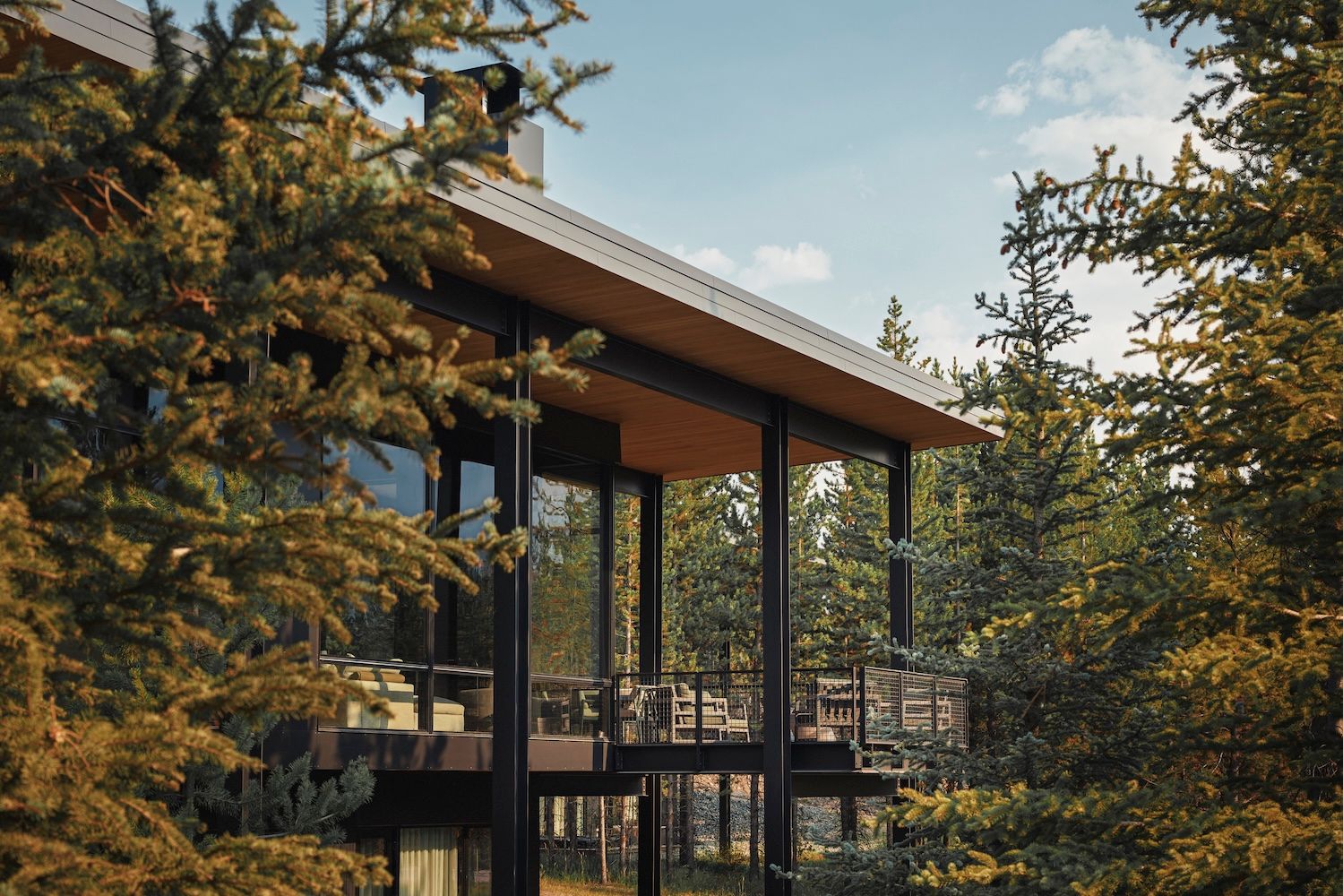 Picture of house from outside, with trees surrounding the architecturally-led space 