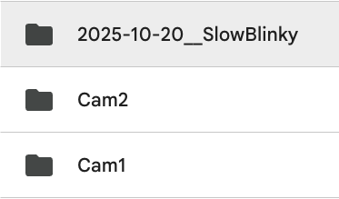 Open the Google Disk folder