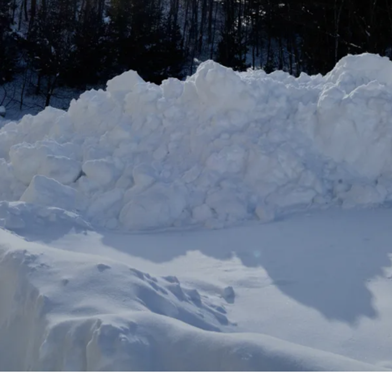 Winter at the waystation