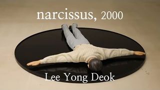 Narcissus