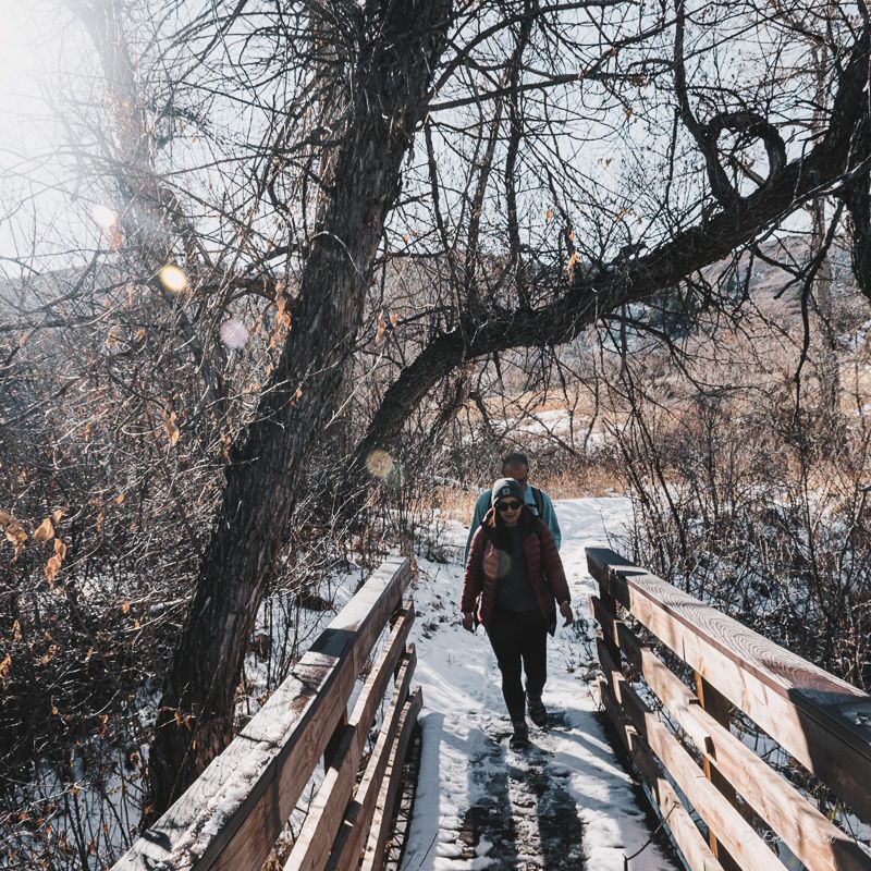 Snowy Footbridge