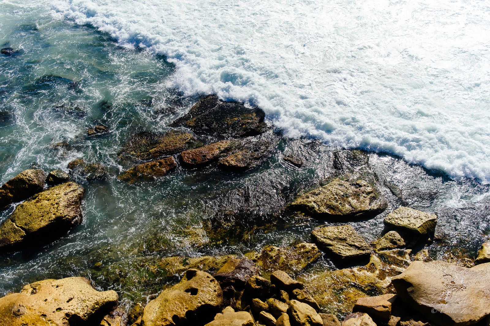 Bondi Beach