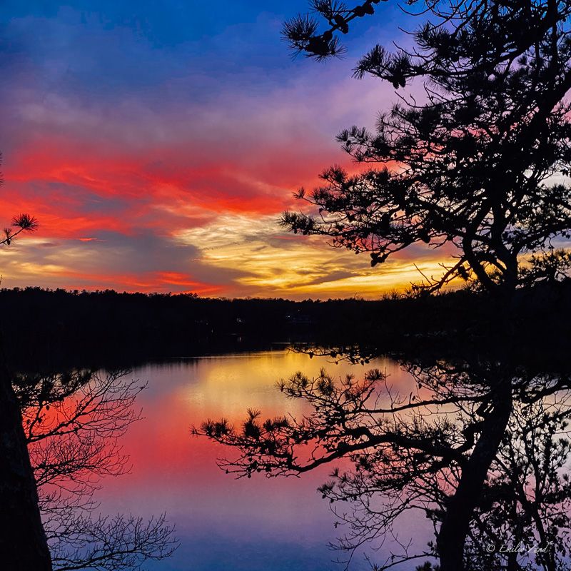 Jenkins Sky