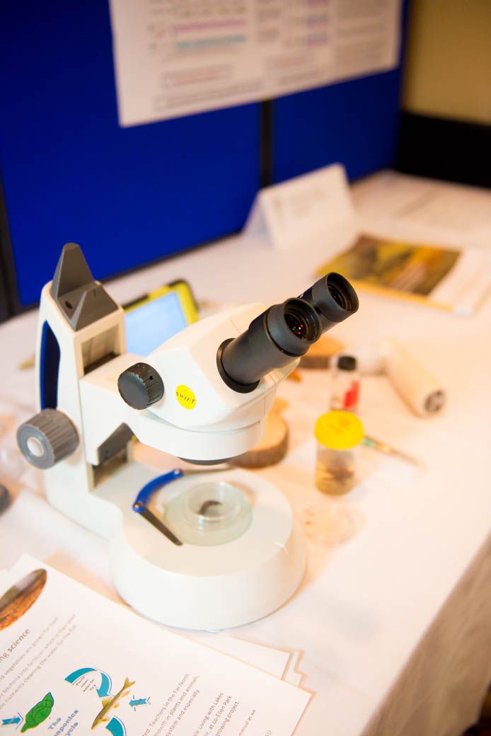 Highlights from NOFNEC 2015