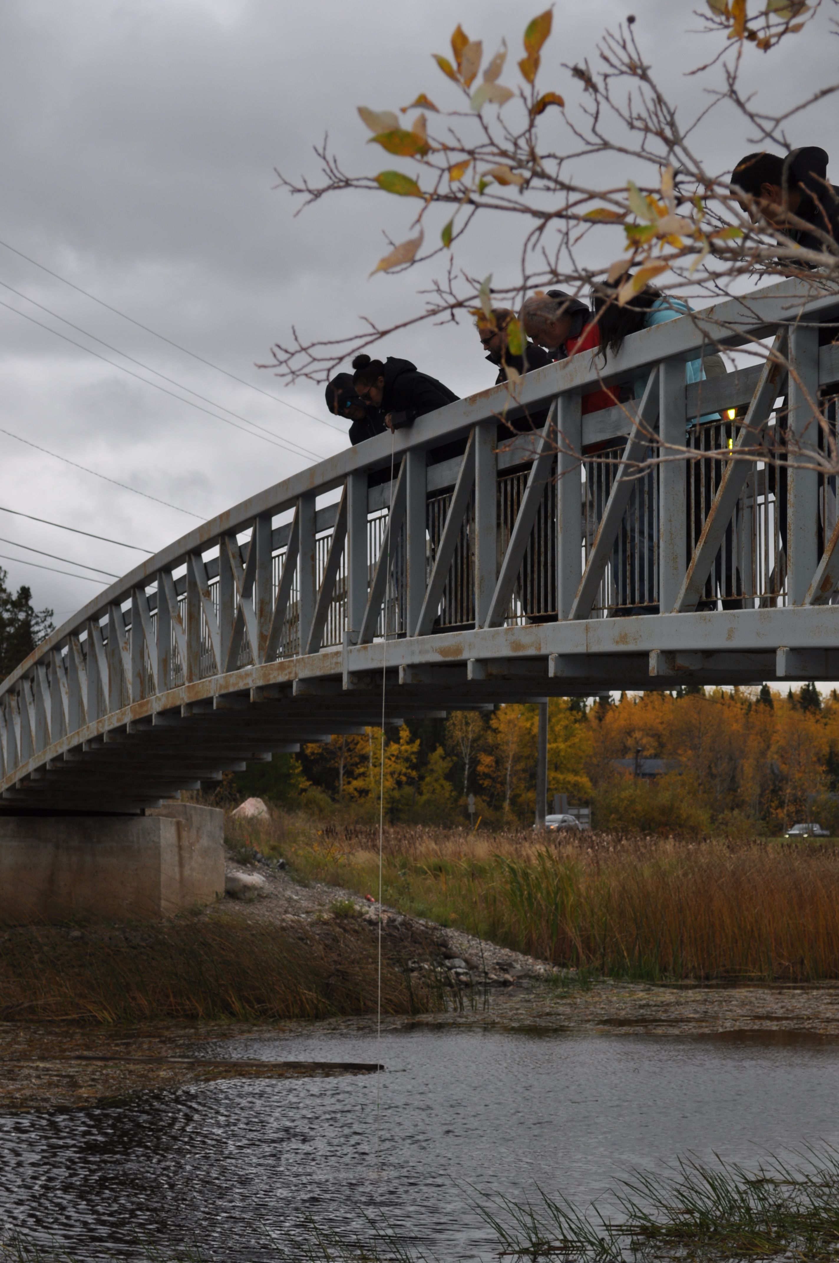 Highlights from NOFNEC 2017