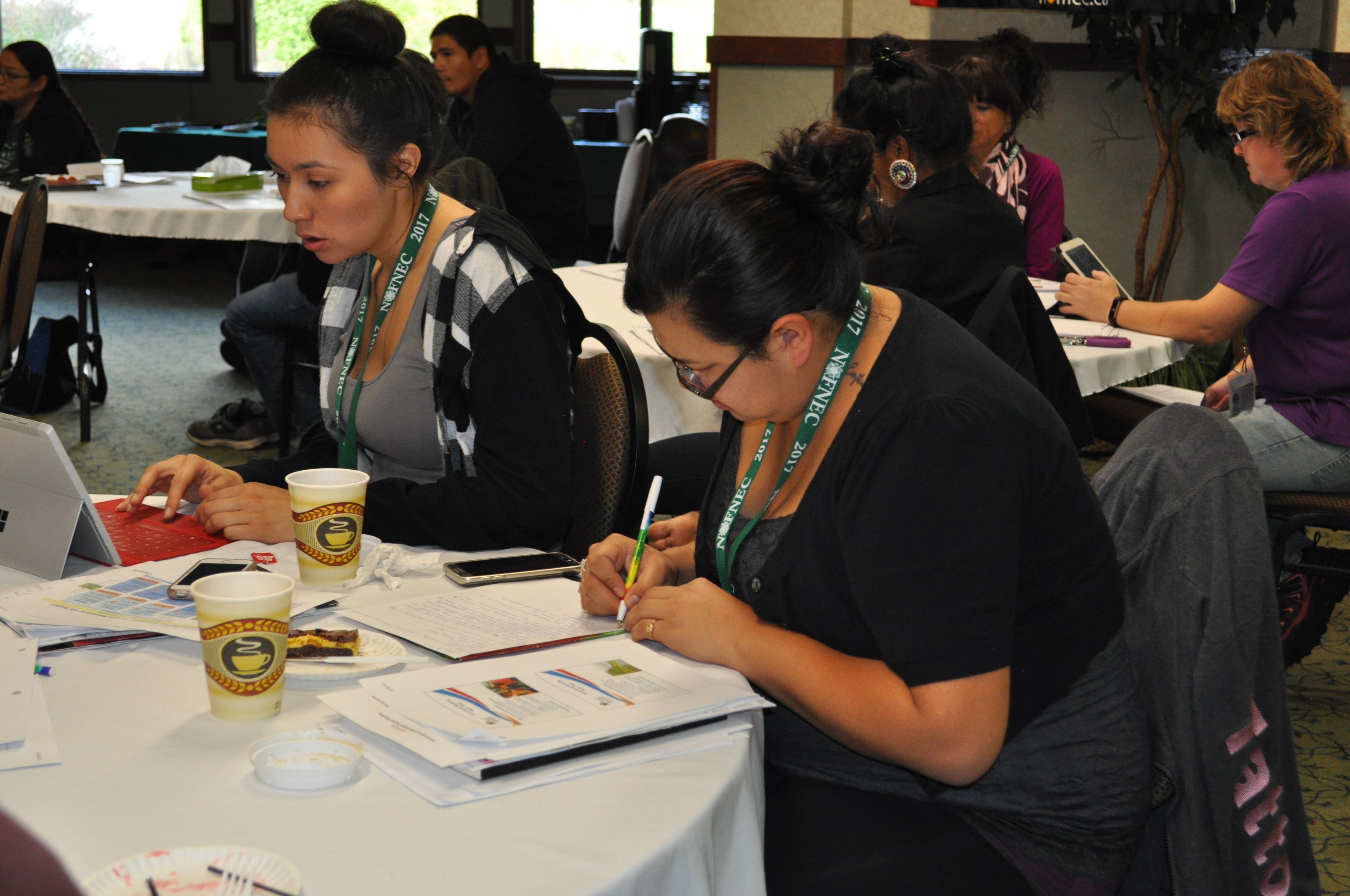 Highlights from NOFNEC 2017