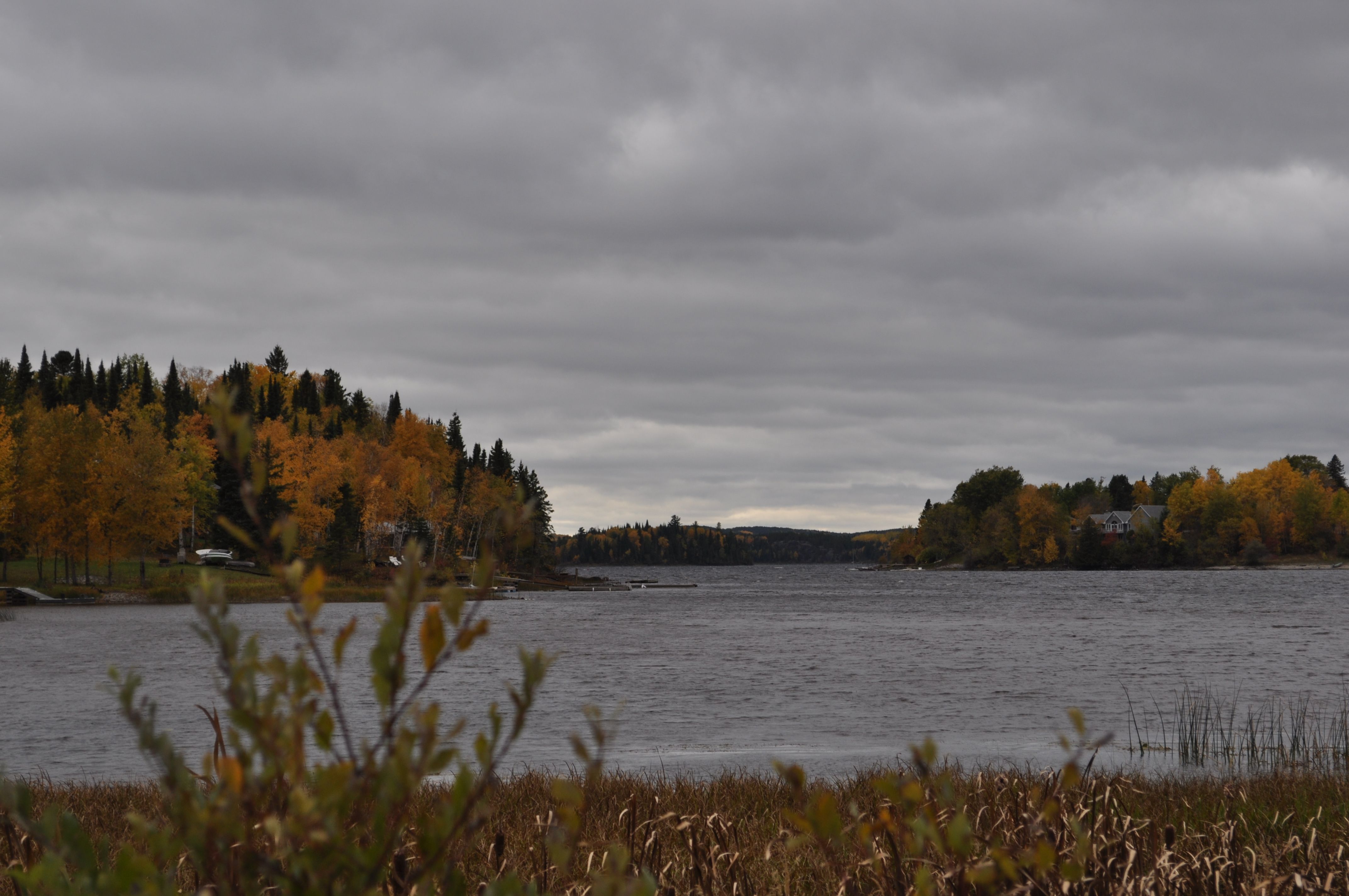 Highlights from NOFNEC 2017