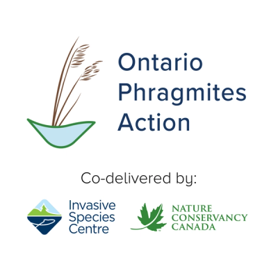 Ontario Phragmites Action Program logo