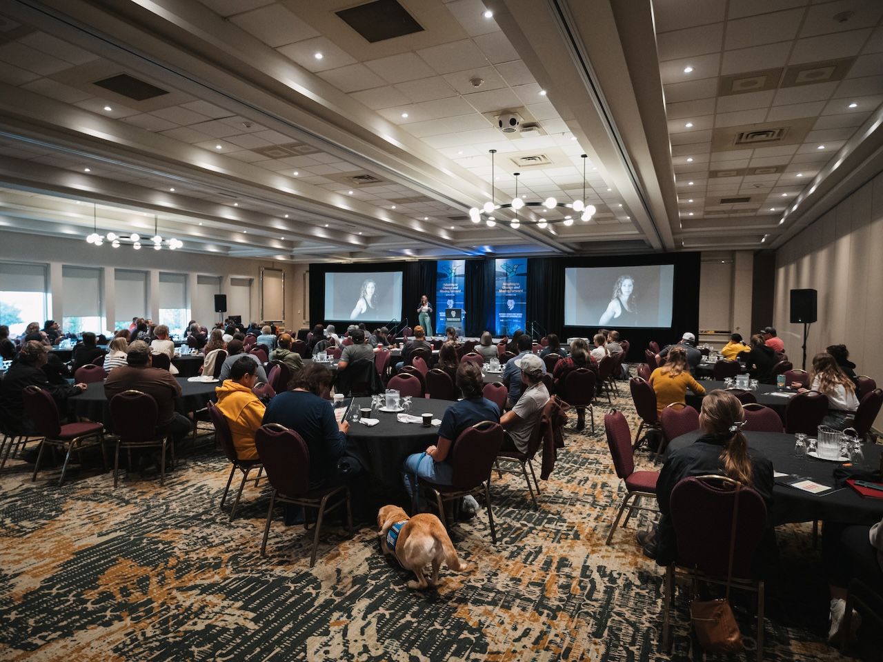 NOFNEC2023-Highlights