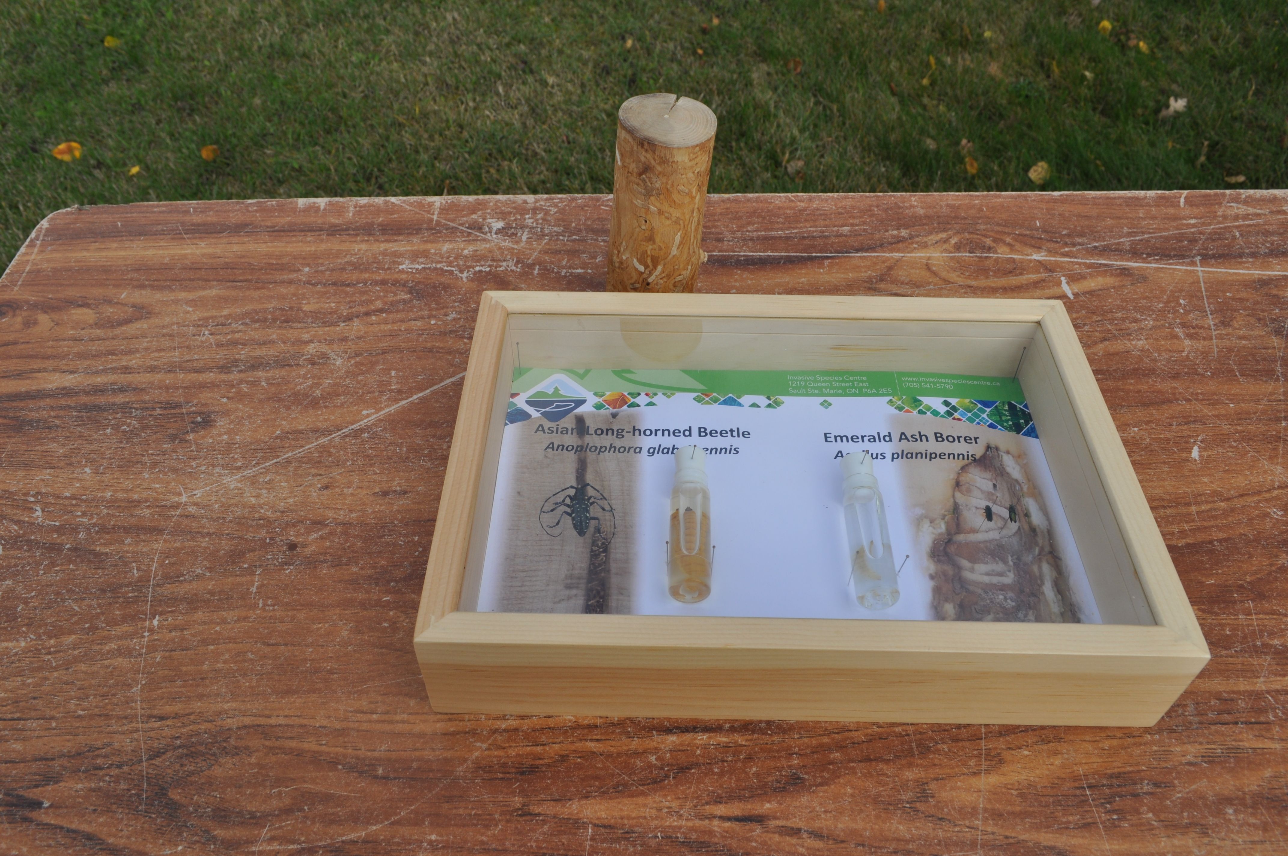 Highlights from NOFNEC 2017