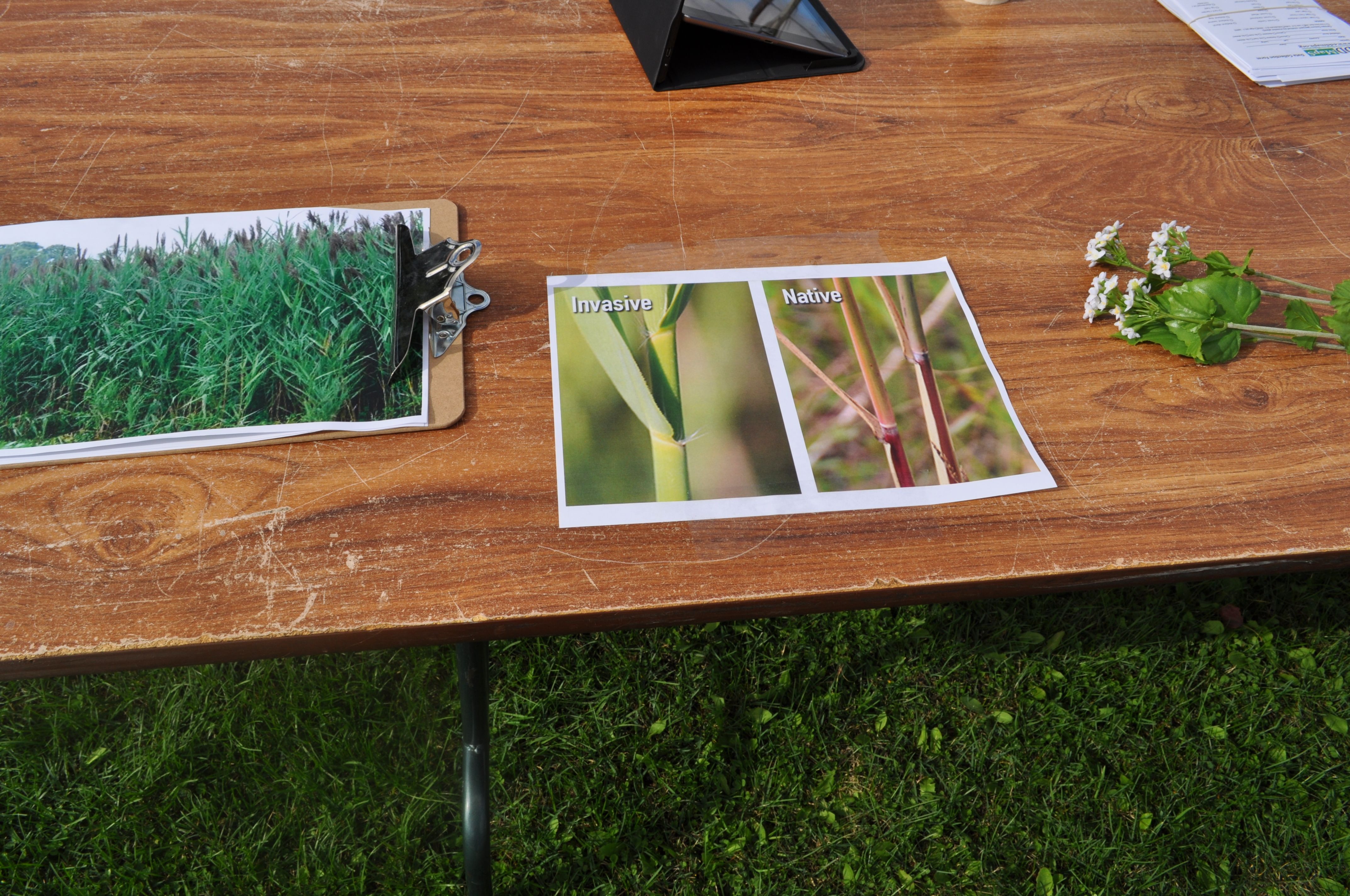 Highlights from NOFNEC 2017