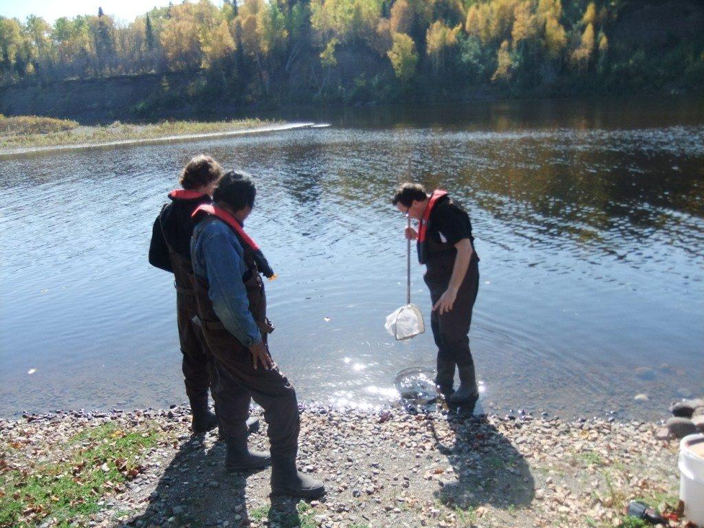 Highlights from NOFNEC 2014