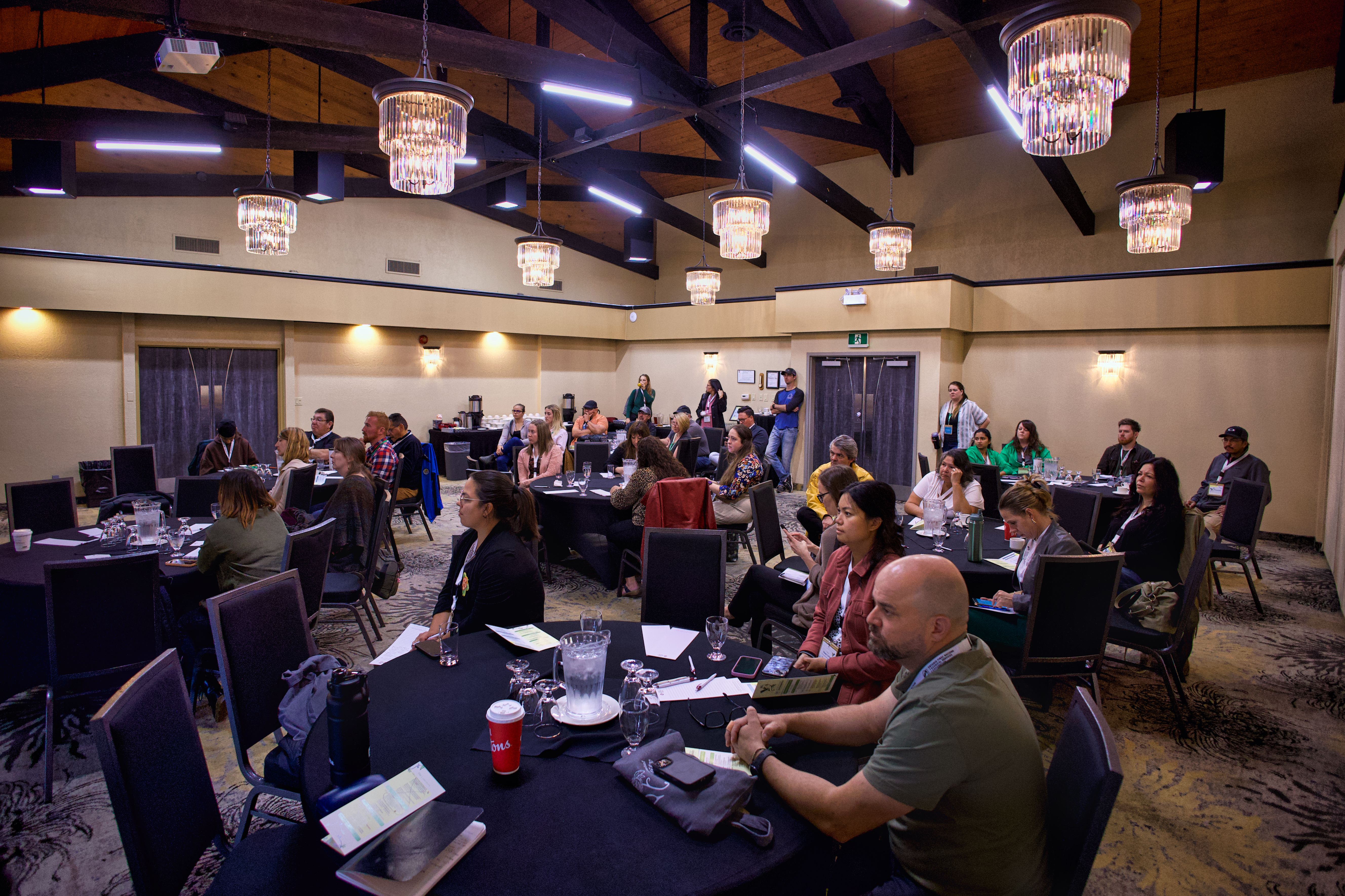 NOFNEC2024-Highlights