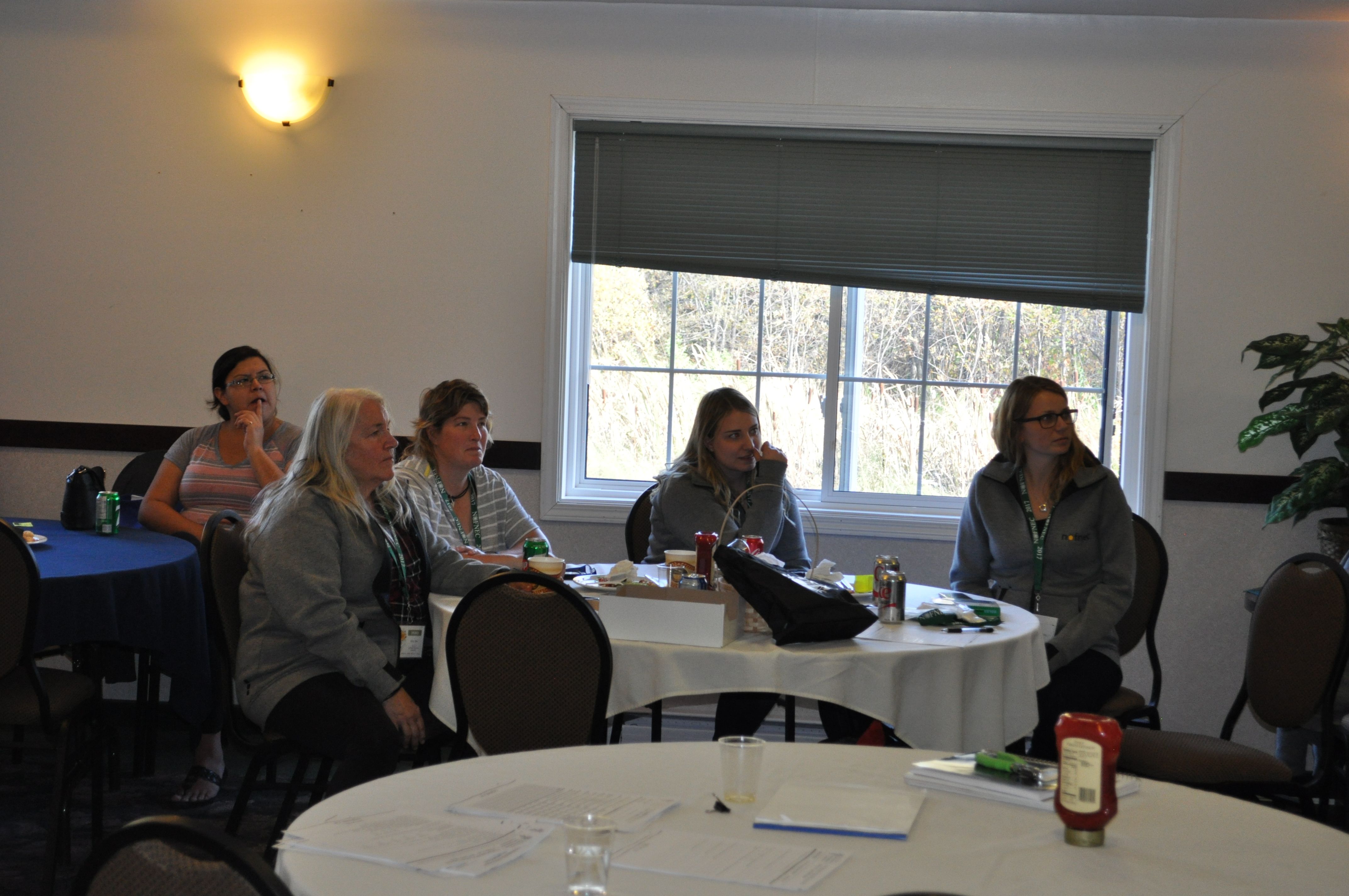 Highlights from NOFNEC 2017