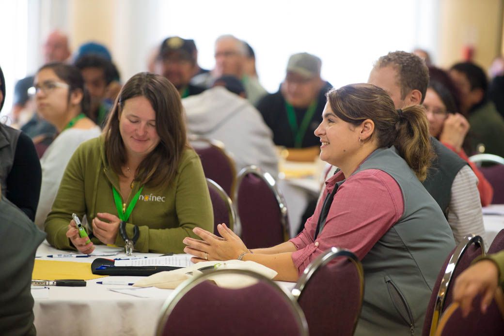 Highlights from NOFNEC 2015