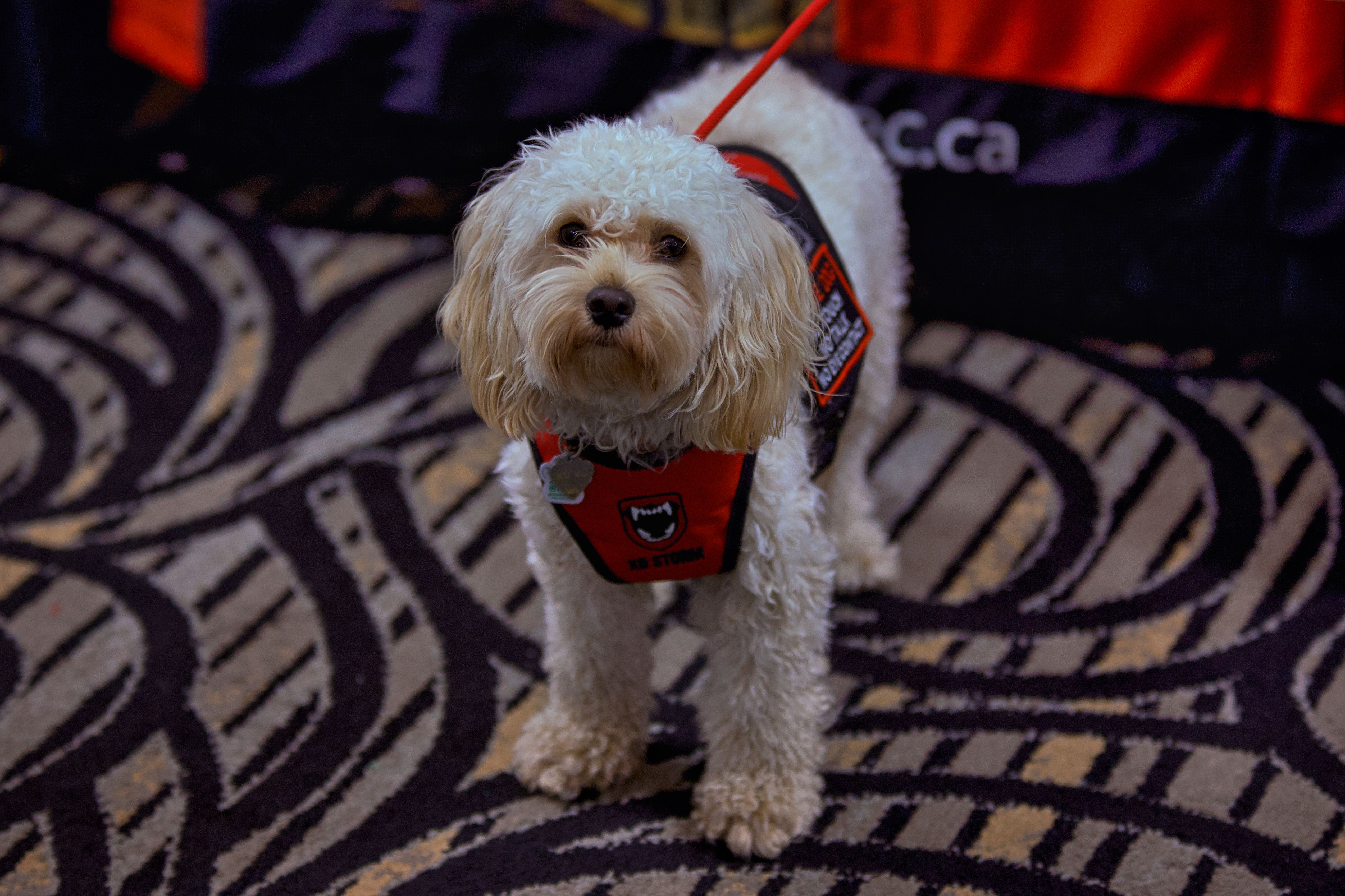 NOFNEC2024-Highlights