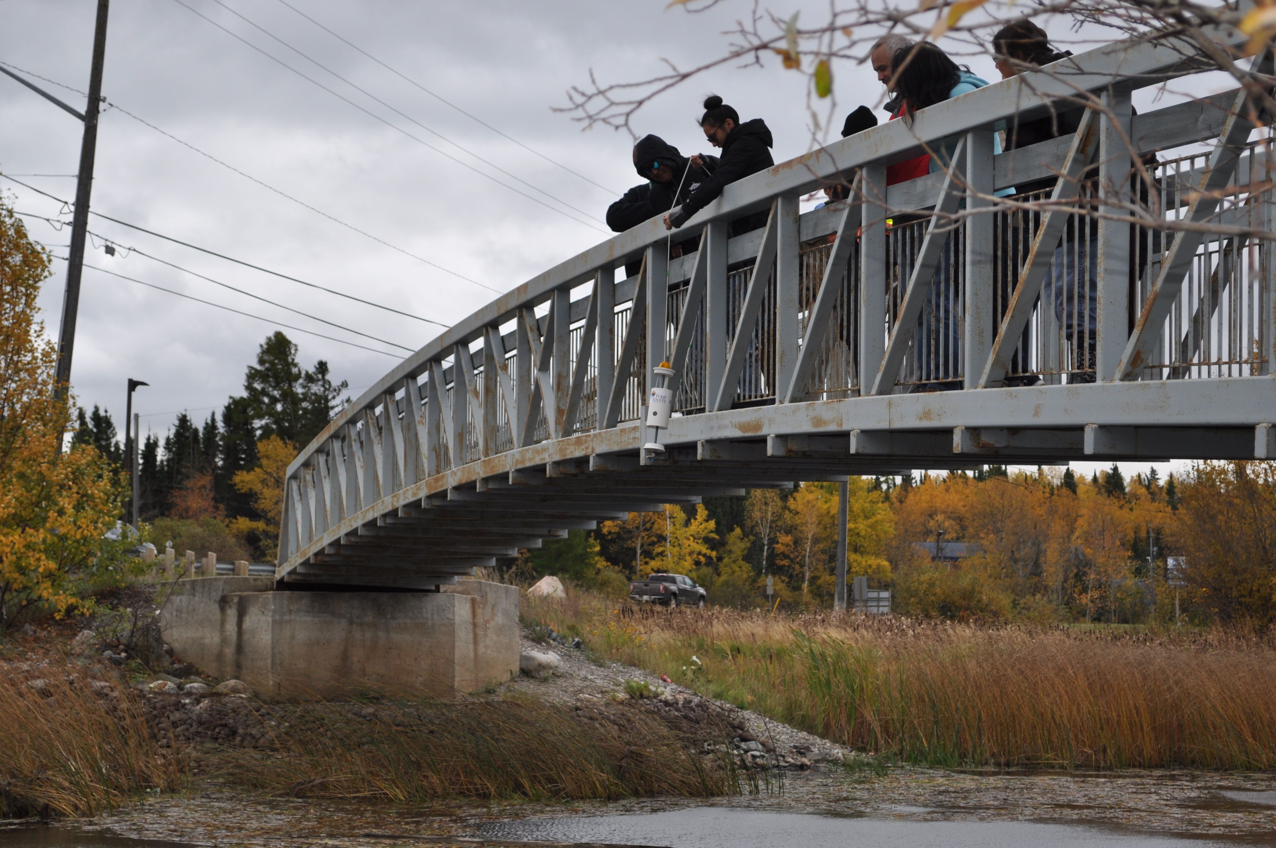 Highlights from NOFNEC 2017