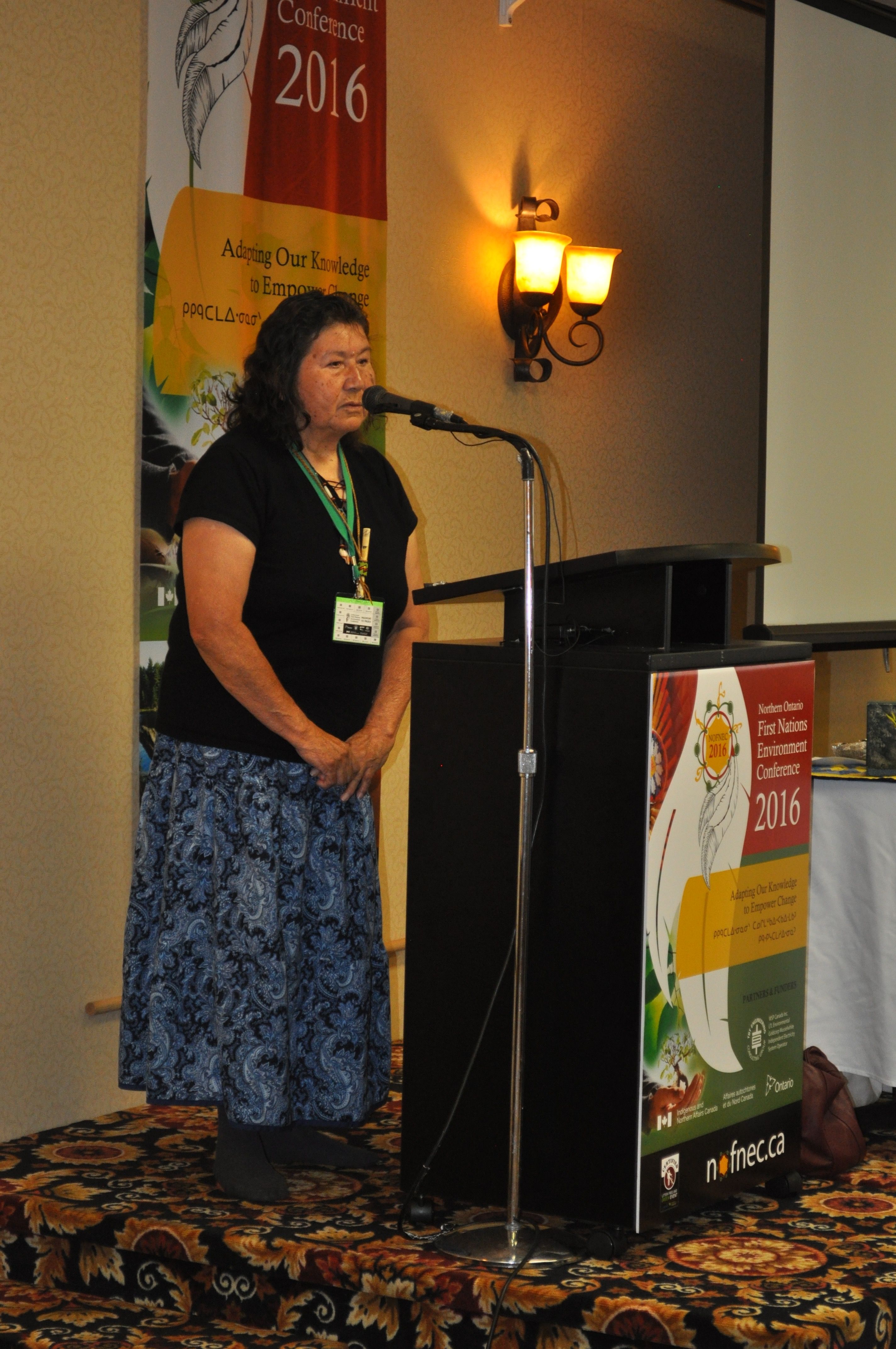 Highlights from NOFNEC 2016